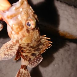 大雪警報発令中の中で